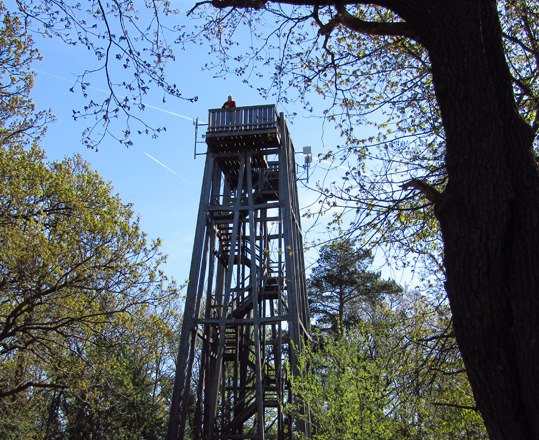 A wooden observation tower in the forest, surrounded by trees and blue sky.