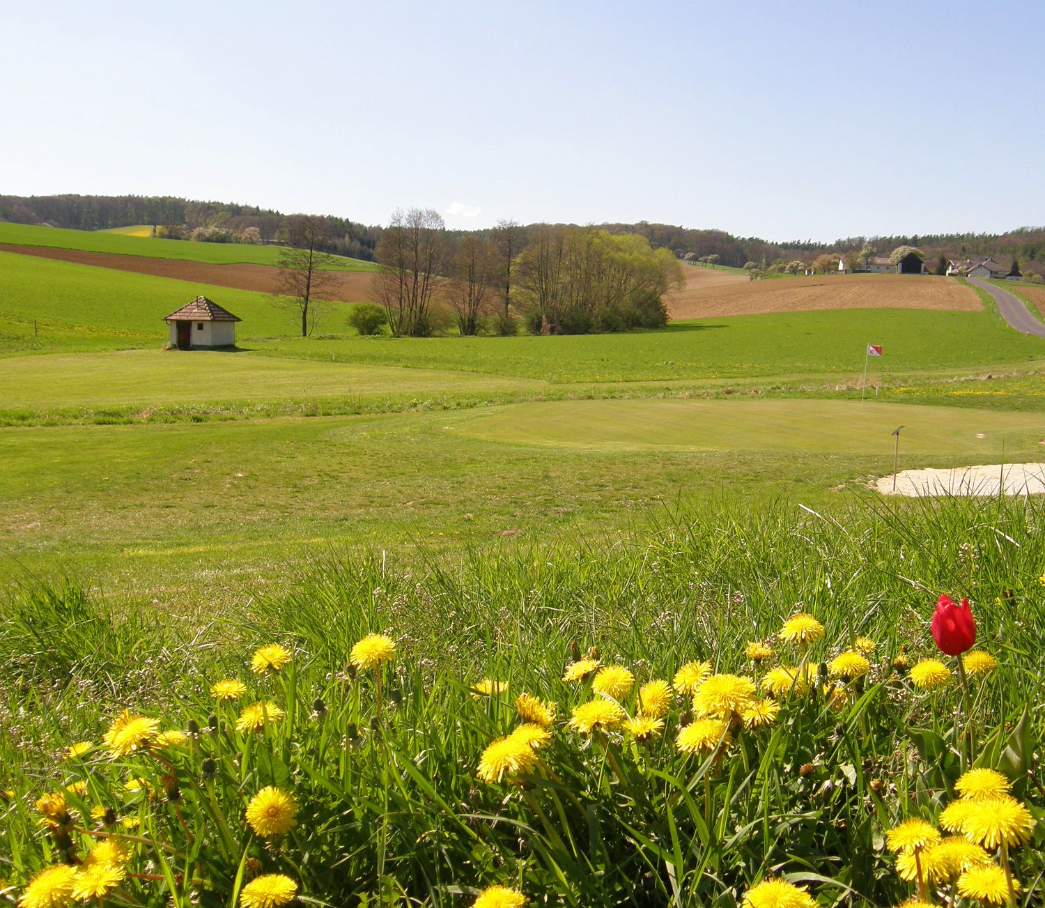Golf course with flowers in the foreground and flag on the green.