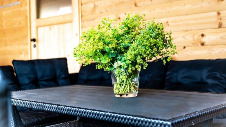 Arbor, © Hanifoto.at HANI OTTLIK