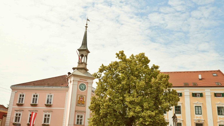Main square of Ybbs with town hall and tree.