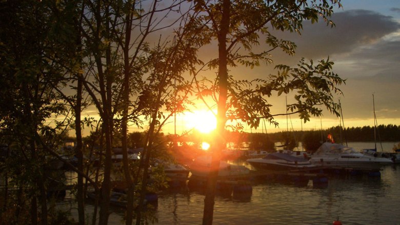 Sunset over a harbor with boats and trees in the foreground.