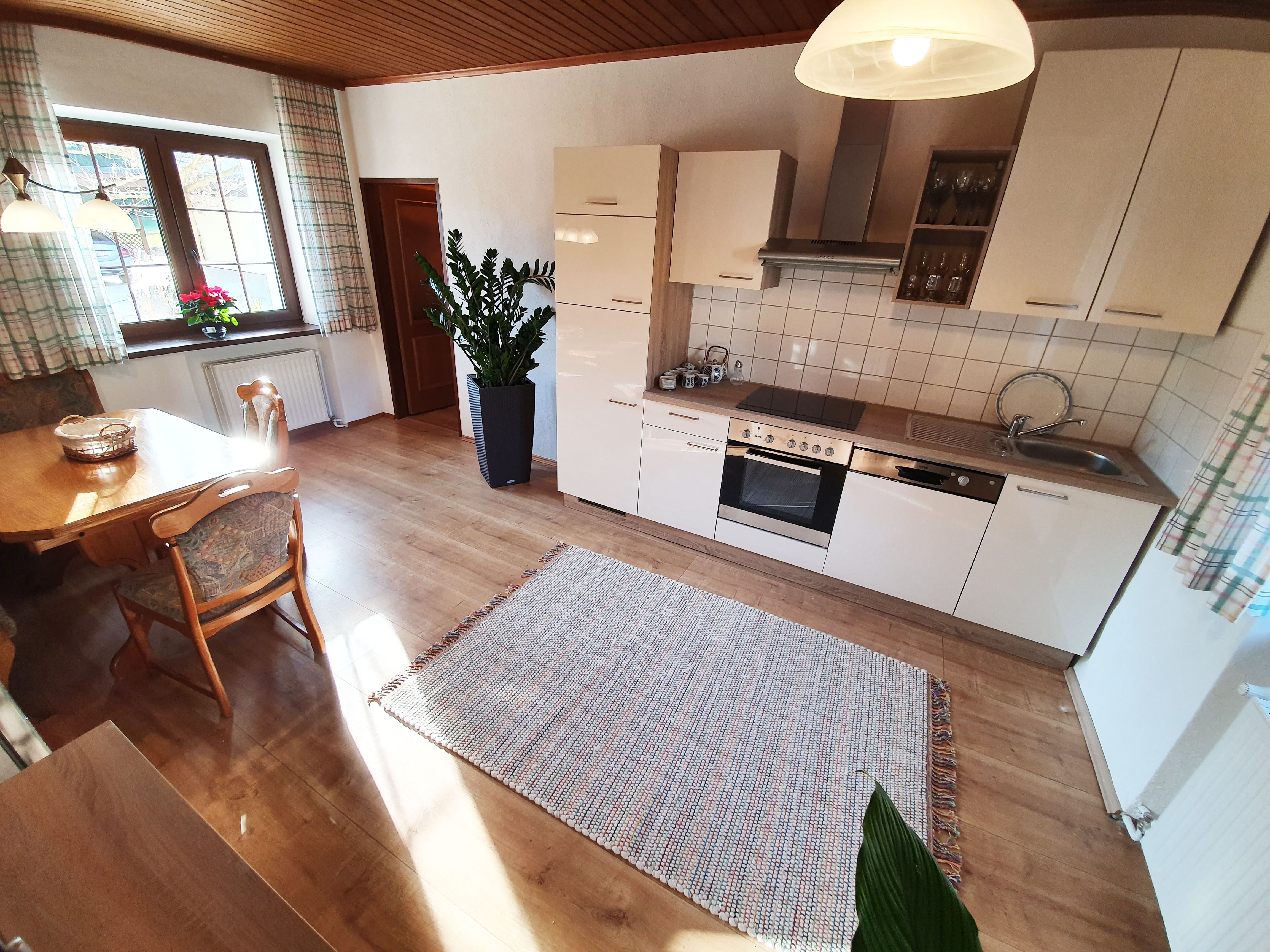 Bright kitchen in a vacation home with dining table, chairs, plants and modern equipment.