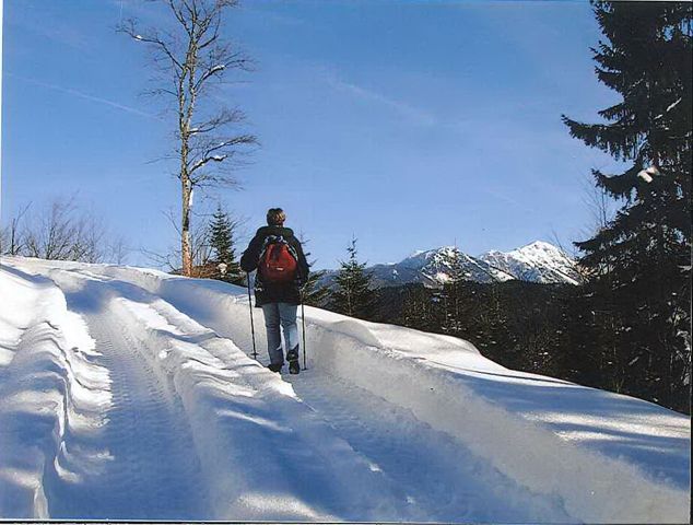 Winter hike to the hut
