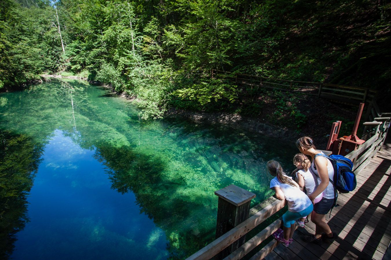 A woman and two children look down from a wooden footbridge onto a clear, green river in a forest.