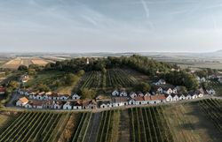 Aerial view of the Galgenberg wine cellar lane in Wildendürnbach, surrounded by vineyards at sunset.