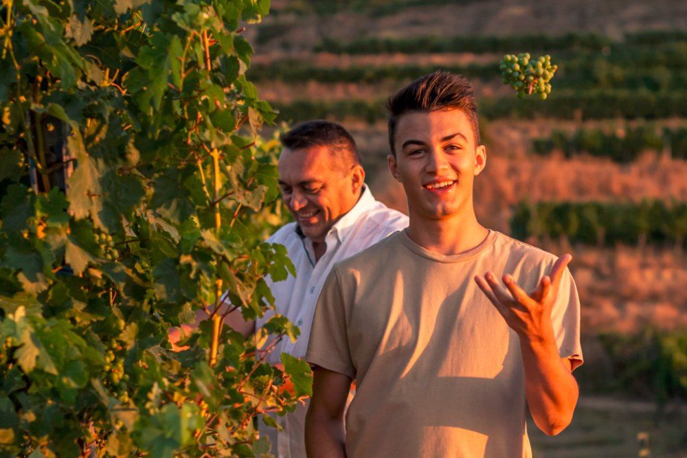 Two men in a vineyard, one juggling grapes.