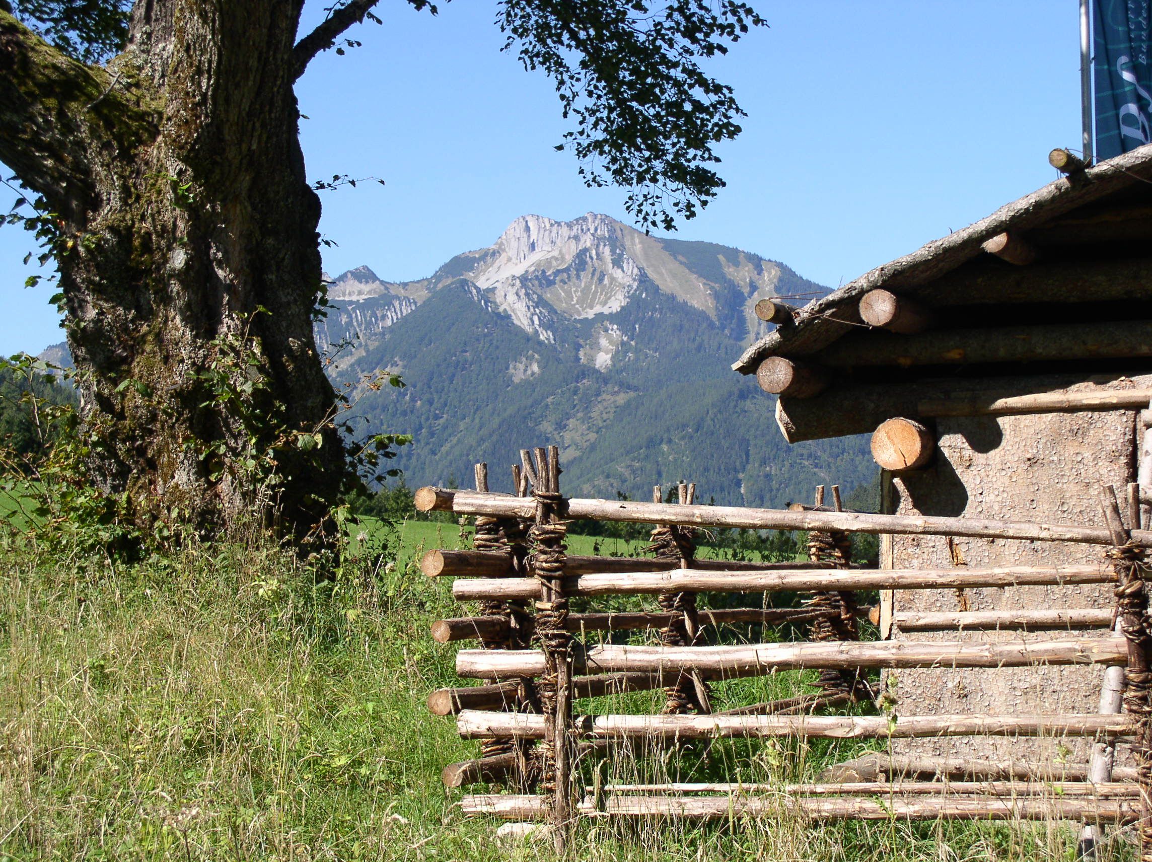 Mountain landscape with wooden fence and tree in the foreground.