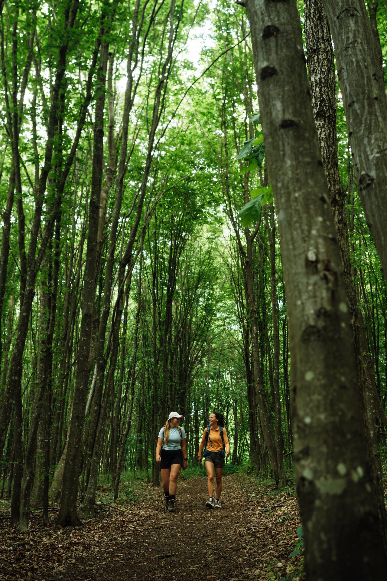 Two women hike through the Thayatal National Park surrounded by many trees
