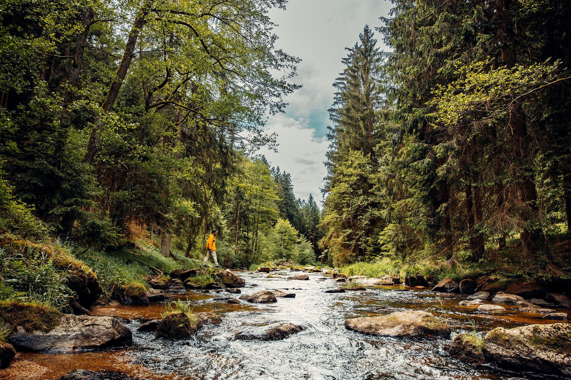 A gentle river meanders through a lush, green landscape, surrounded by tall, majestic trees. The light breaks through the canopy of leaves and conjures up a play of shadows and light on the ground. Here, in the tranquillity of nature, you will find the perfect place to take a break and enjoy the beauty of the surroundings.