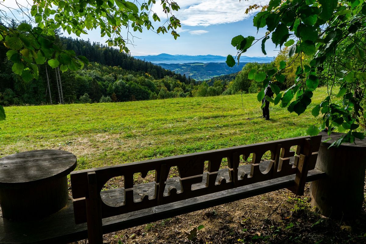 View back to the Alpine foothills before Strassreith