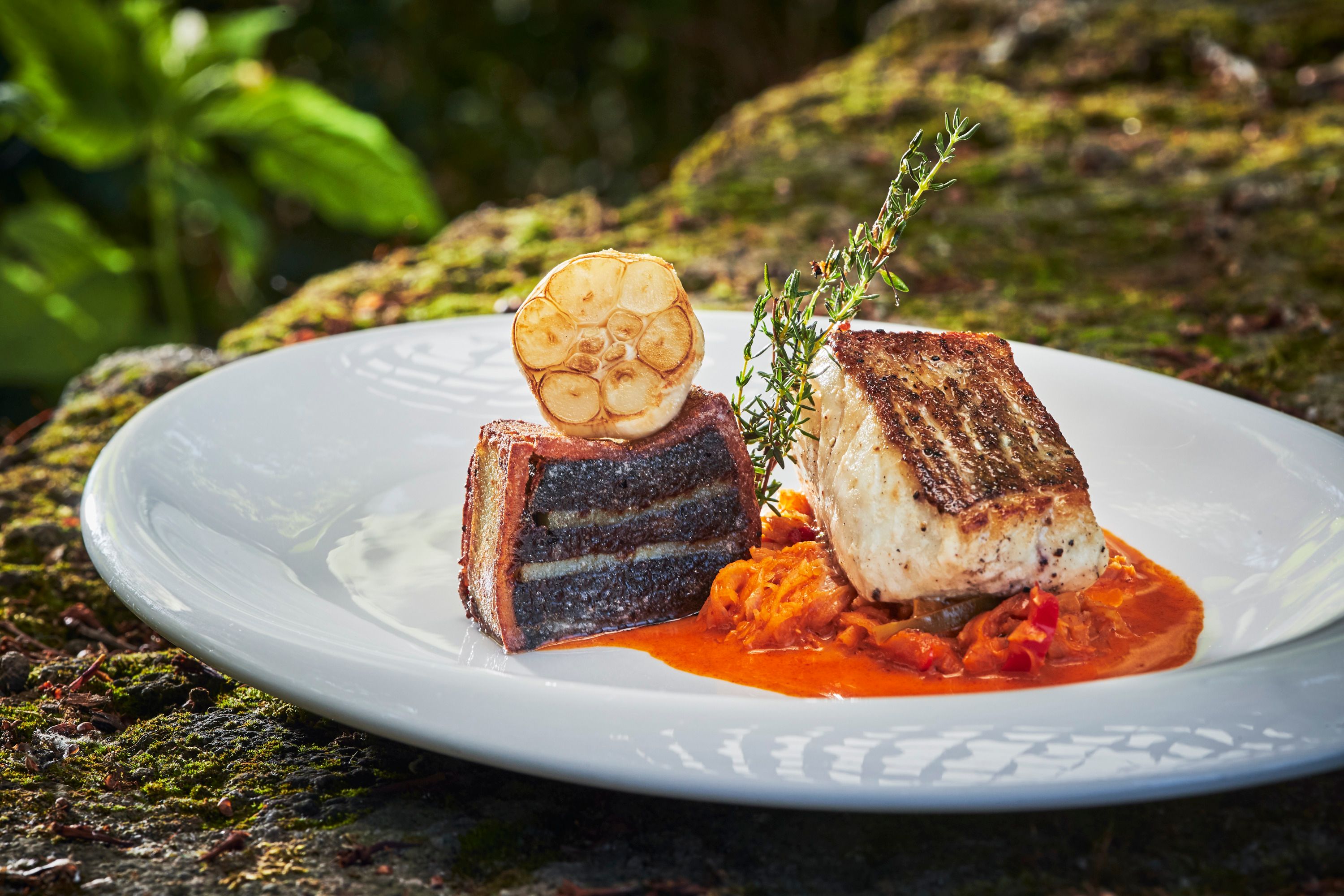 Pike-perch fillet on spicy cabbage with blue terrine and garlic on a white plate.