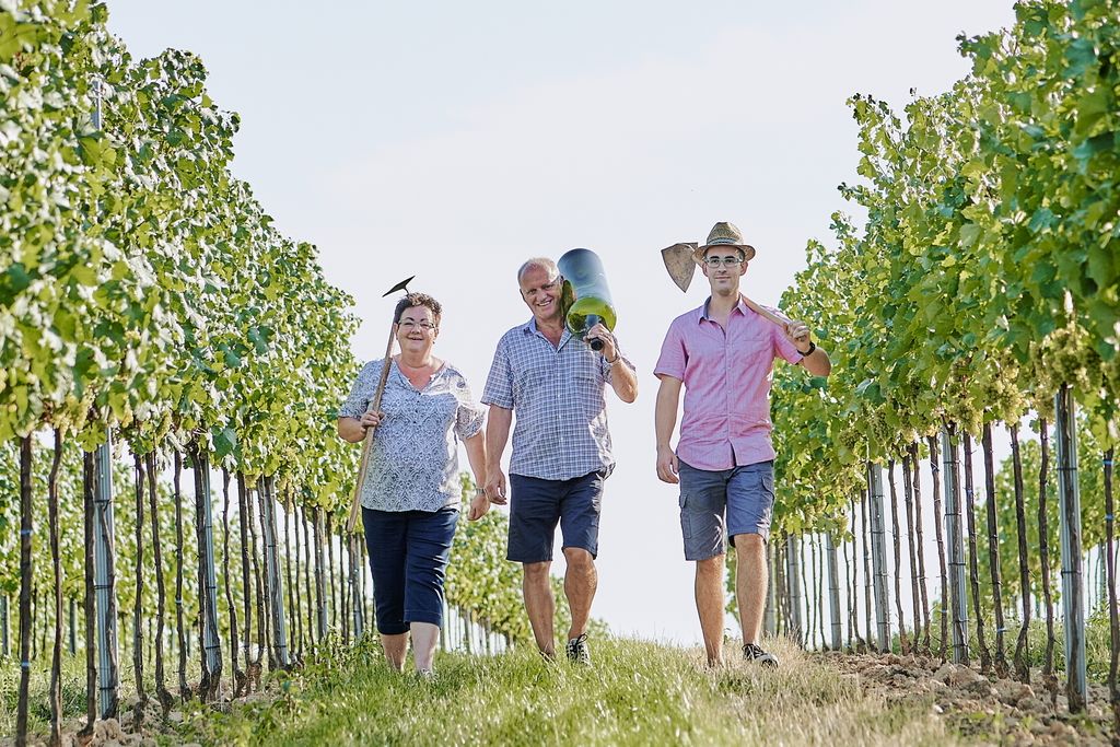 Three people walk through a vineyard, carrying tools and smiling.