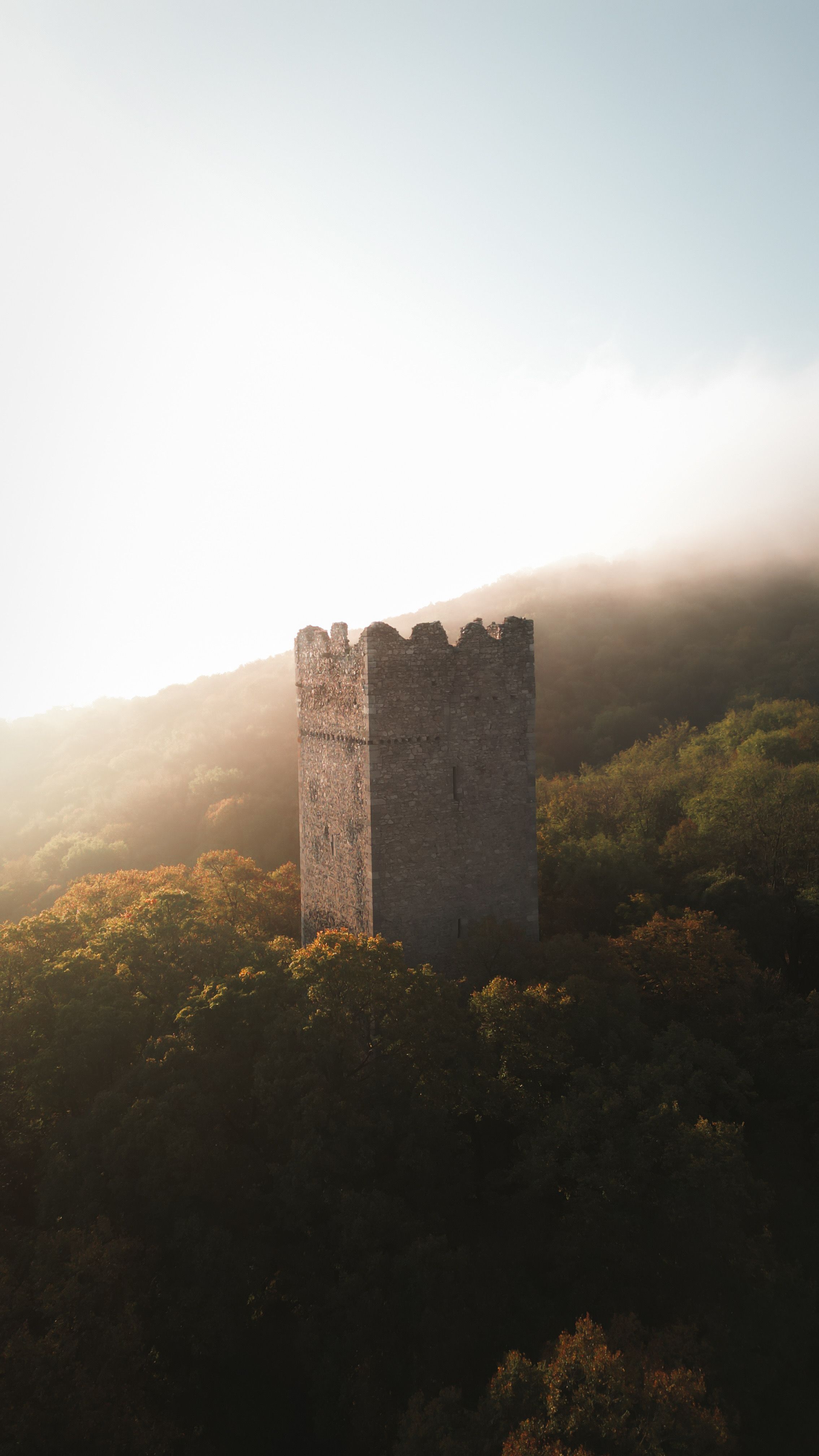 Tower of a castle in the forest - Pottenburg