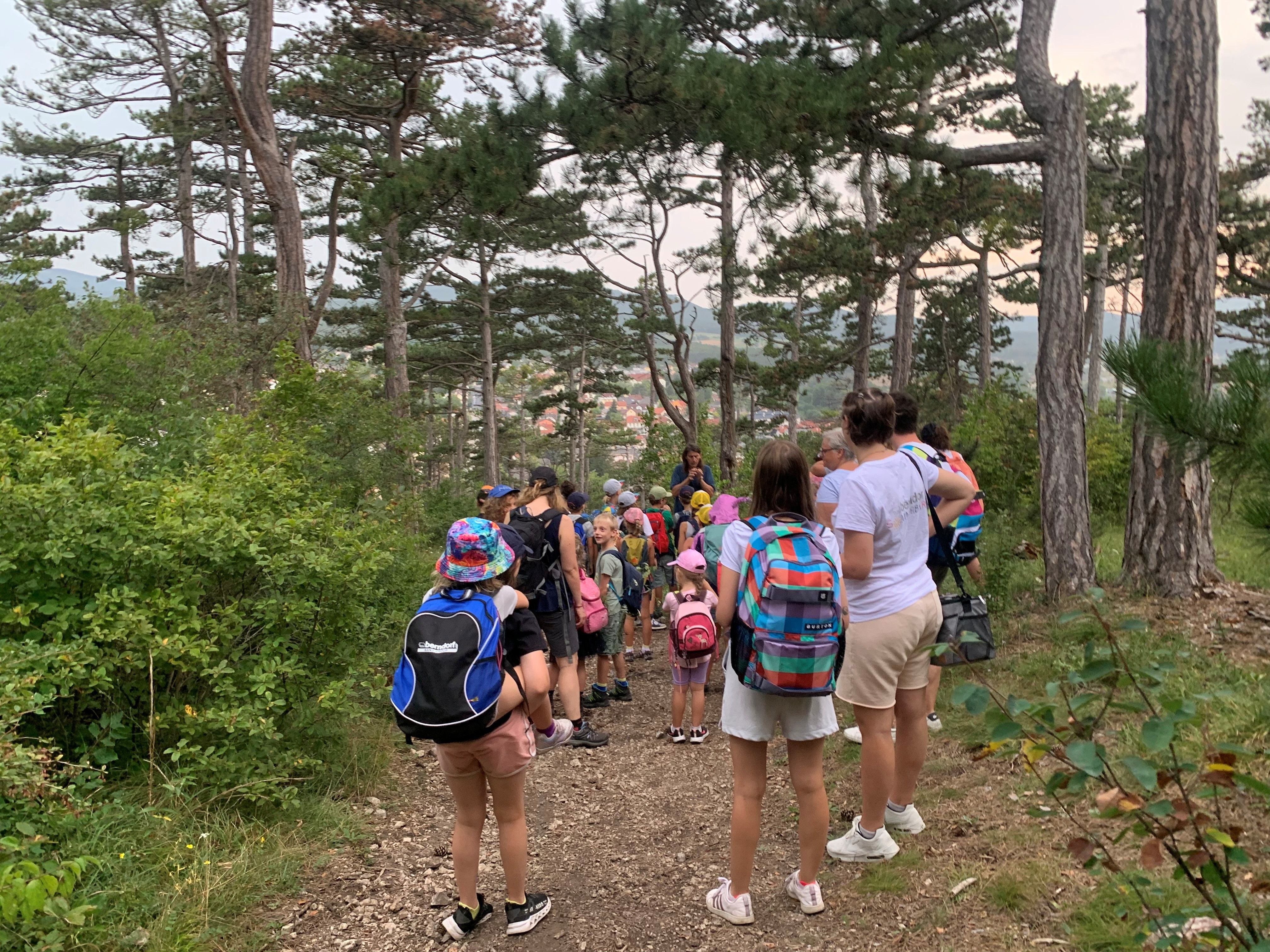 A group of children and adults is hiking downhill on a forest trail.