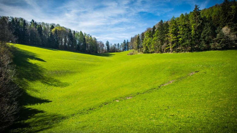 Meadow, © www.lensflair.at