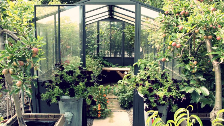 Glass house in the garden &copy; Lederleitner Krems, &copy; Lederleitner Krems