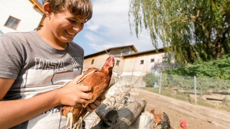 Vacation at the Zwergerlhof, © schwarz-koenig.at
