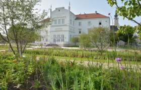 Colorful flower bed in the monastery garden in front of Tulln town hall