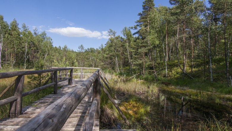 Wooden footbridge in the Schrems high moor nature park, surrounded by trees and moorland.