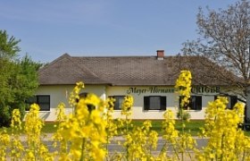 A building with the inscription 'Mayer-H&ouml;rmann' behind yellow flowers.