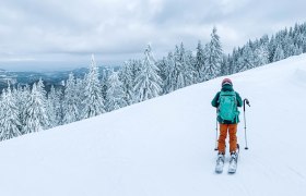 Skiing in Lackenhof, © zivot s bambulkama