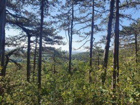 Ausblick von der Ein&ouml;dh&ouml;hle, &copy; Wienerwald