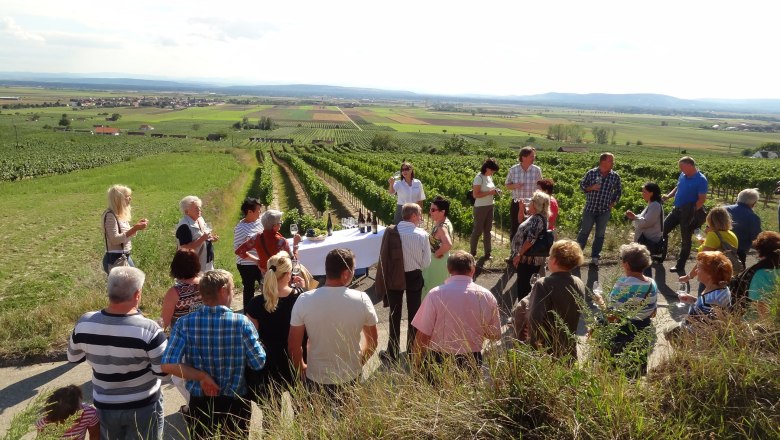 Group of people at an outdoor wine tasting surrounded by vineyards.