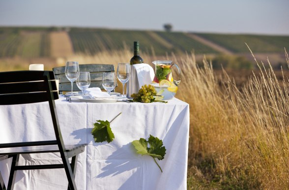 Wine and cuisine in Weinviertel, © Weinviertel Tourismus/ Lammerhuber