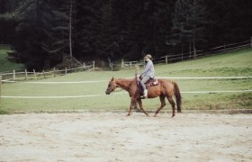 Horse country, © Eichbergers