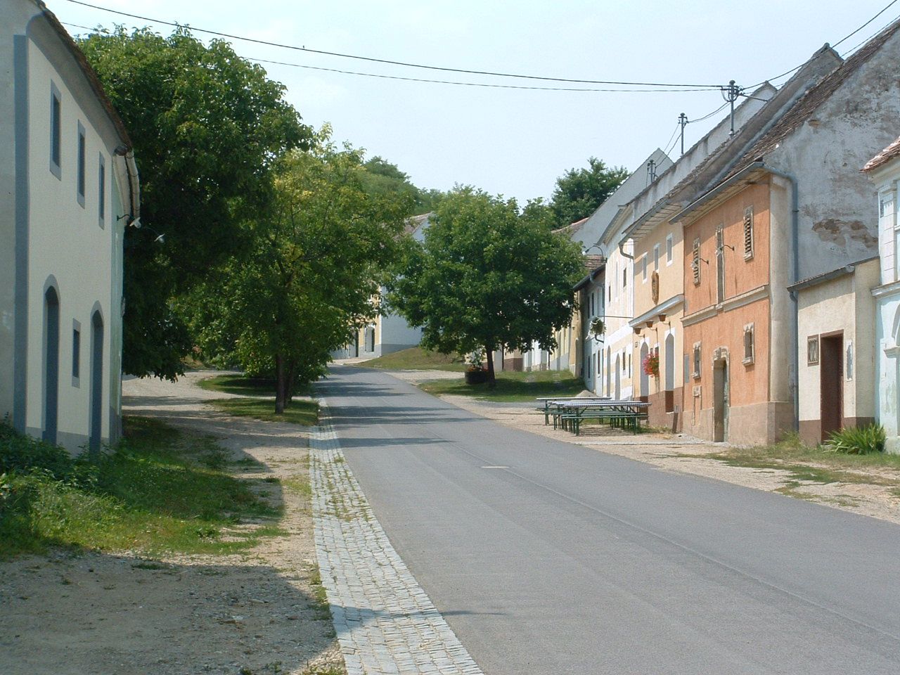 Street with traditional buildings and trees in a rural setting.