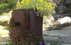 An old oven in the garden, used as a planter for yellow flowers and succulents.