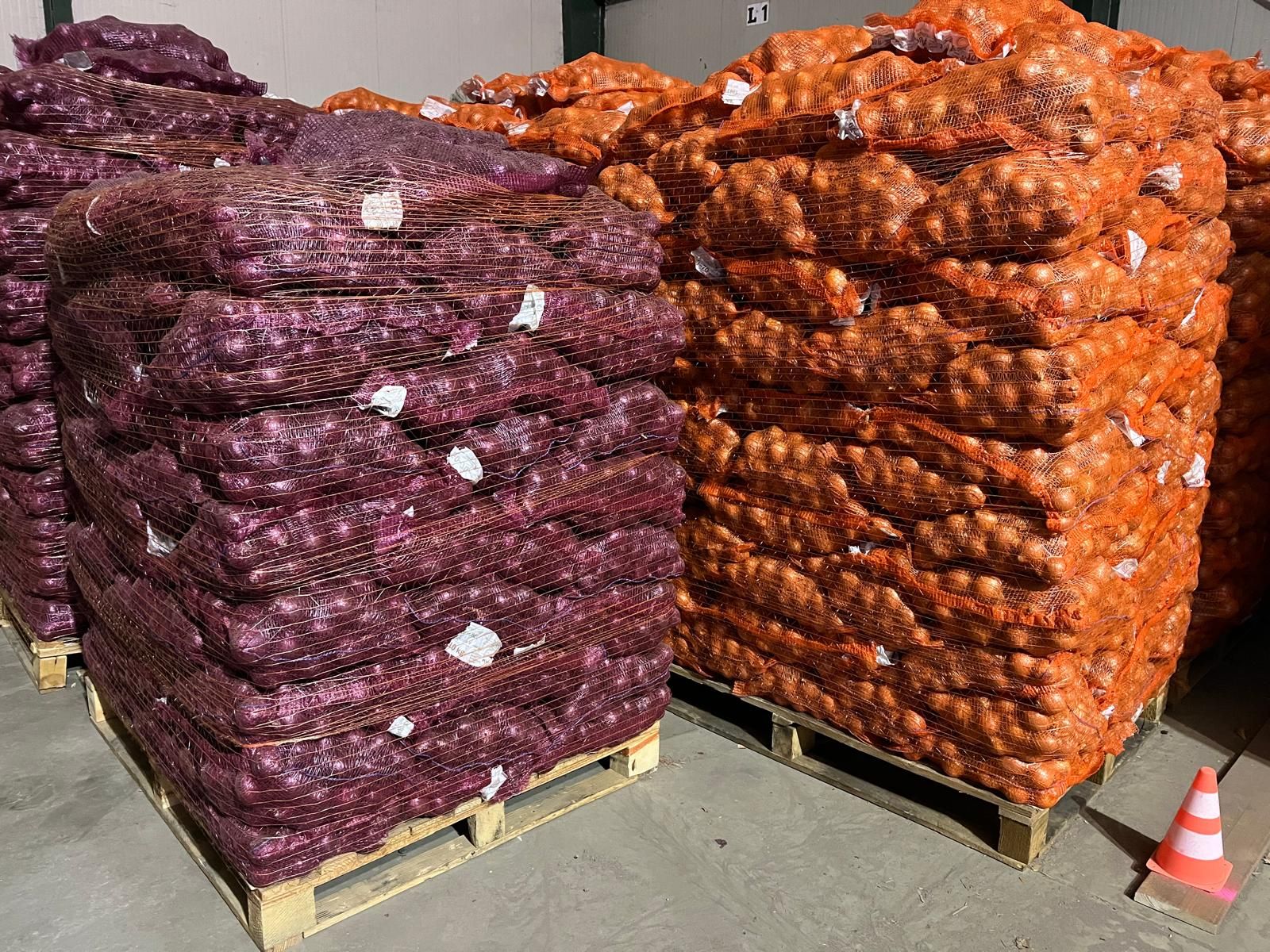 Stacked sacks of red and brown onions on pallets in a warehouse.
