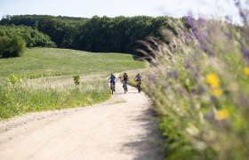 MTB Wienerwald, © Wienerwald Tourismus GmbH / Markus Frühmann