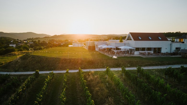 Winery with terrace and vines at sunset.