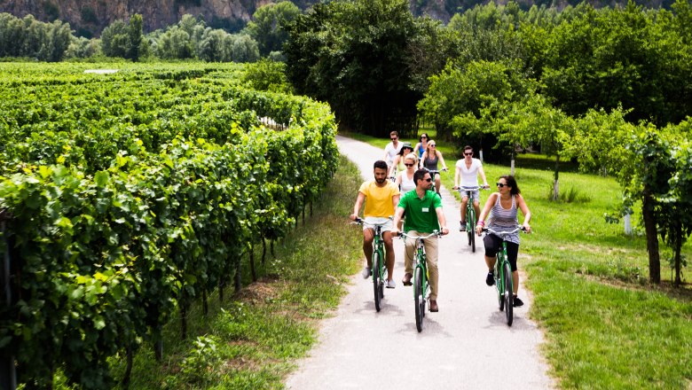Cycling through the vineyards, &copy; Wachau Explorer