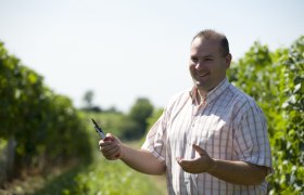 A man in a checked shirt stands smiling in a vineyard holding a pair of pruning shears.