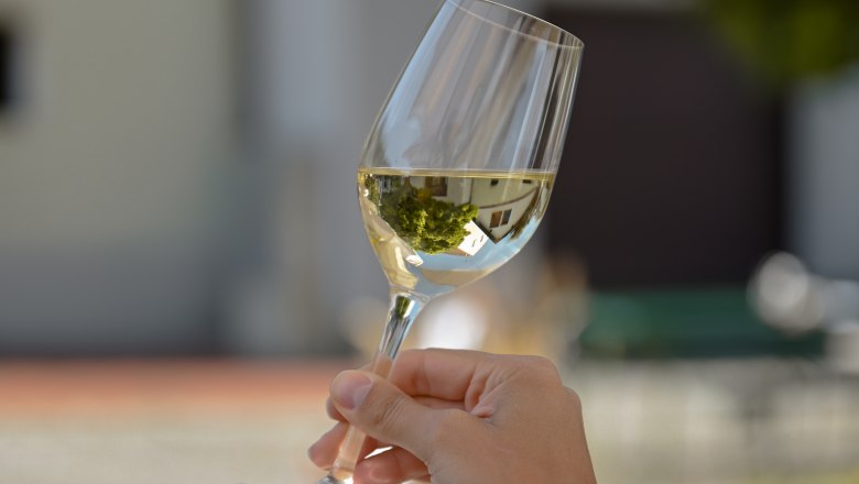 Hand holding a wine glass with white wine outside.