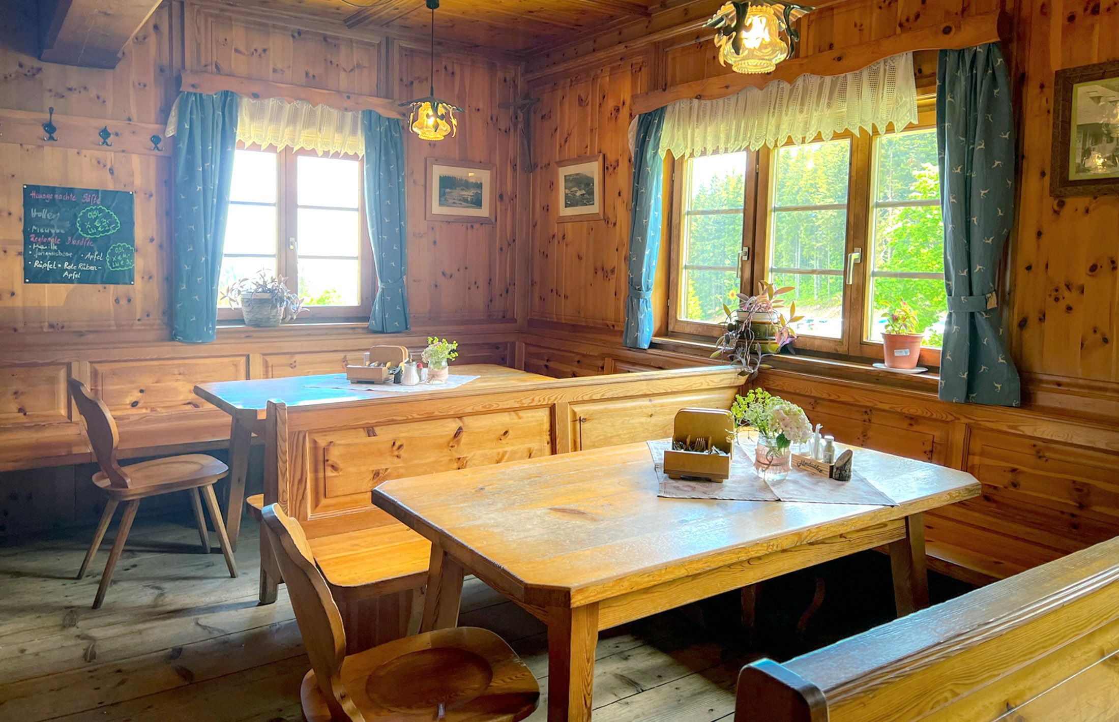 Cozy parlor with wooden furniture, blue curtains and plants on the tables.