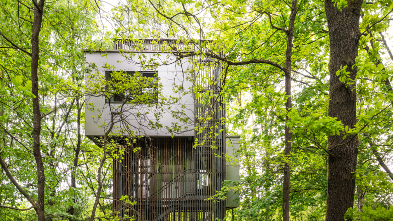 Modern tree house in a dense forest, surrounded by green leaves.