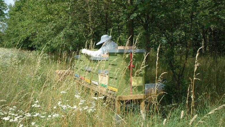 The work of a beekeeper, &copy; Bio Imkerei Bl&uuml;tenstaub