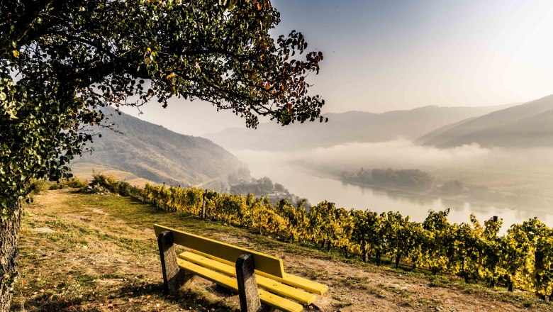 Rest area on the Tausendeimerberg in autumnal Spitz, © Robert Herbst