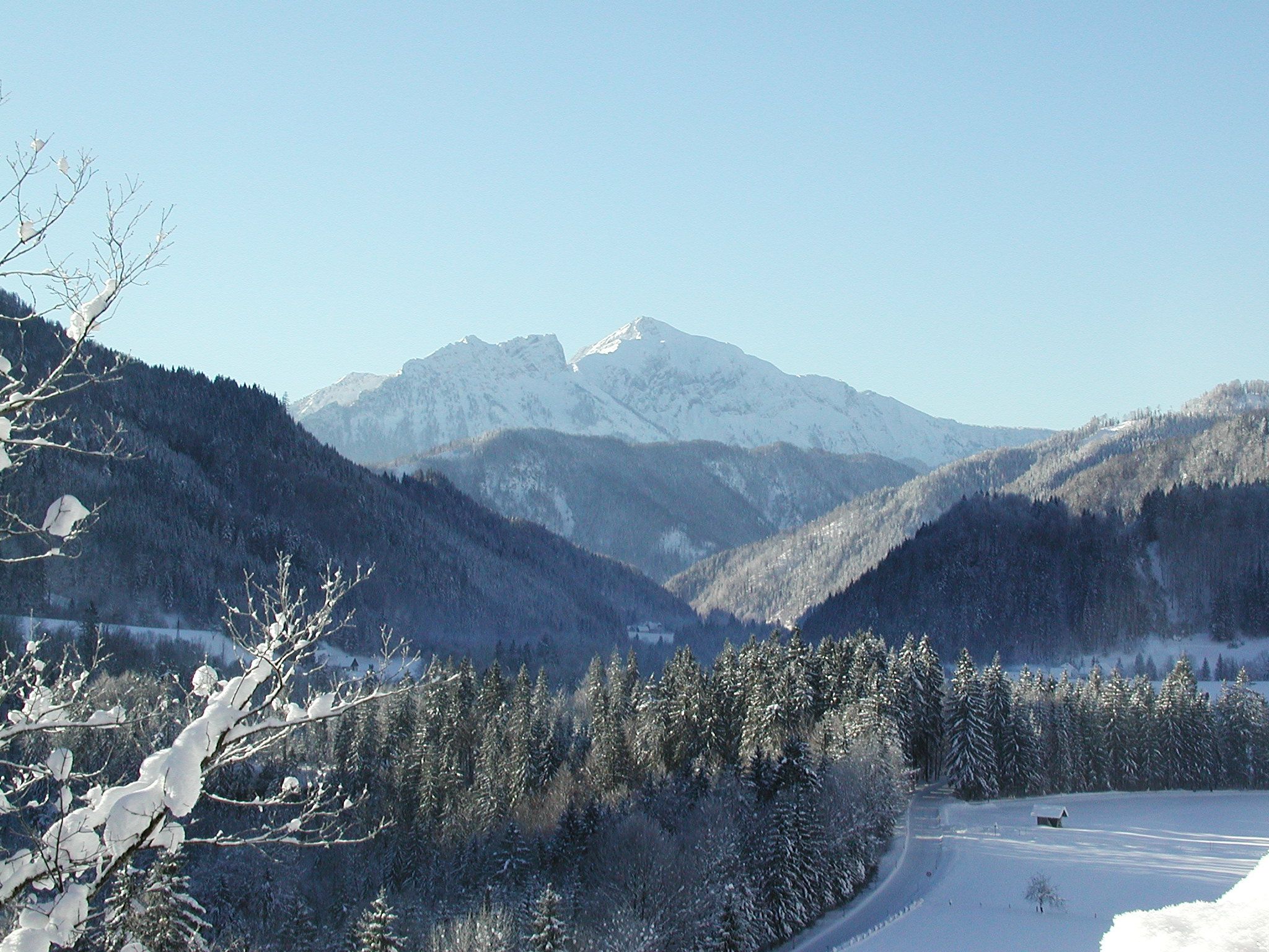 Winter landscape