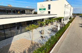 Exterior view of a modern building with terrace and plants.