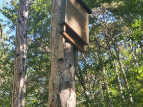 Fledermaus Quartier, &copy; Wienerwald