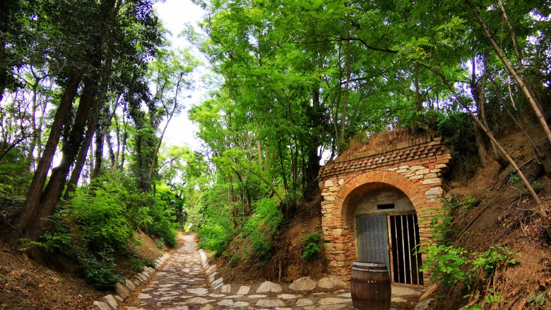 A narrow, cobbled path leads through a wooded area. On the right is an old vaulted cellar with a barrel in front of it.
