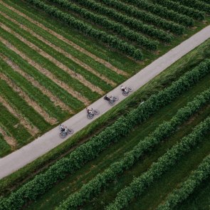 Flat cycle path with highlights, © Niederösterreich Werbung/Eliska Hudcová