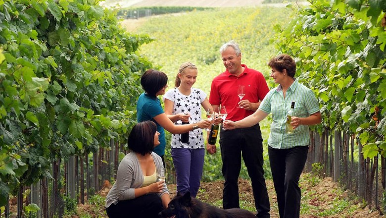 A family stands in a vineyard and clinks glasses of wine. A dog lies on the ground.
