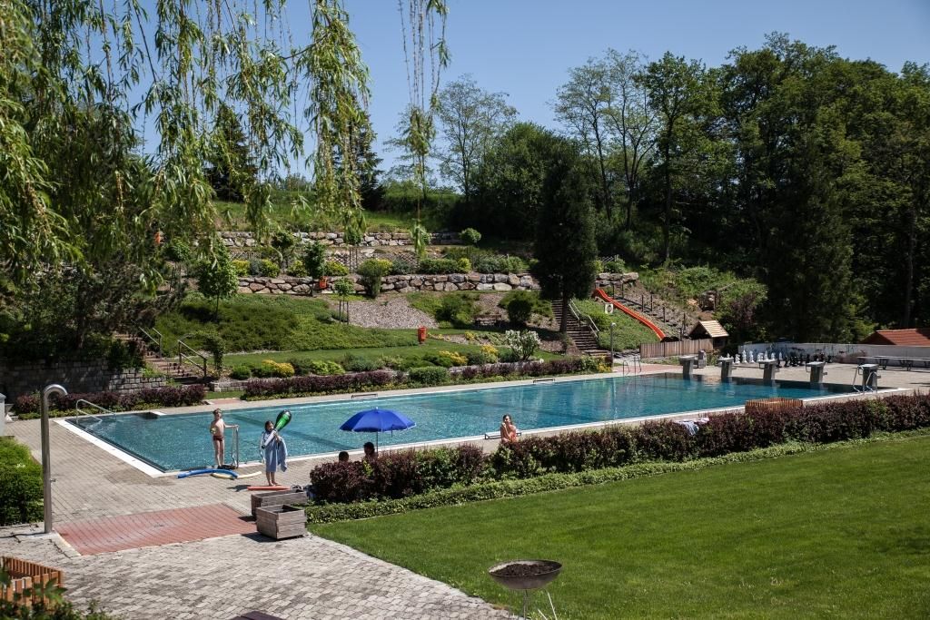 An outdoor swimming pool surrounded by trees and lawns.