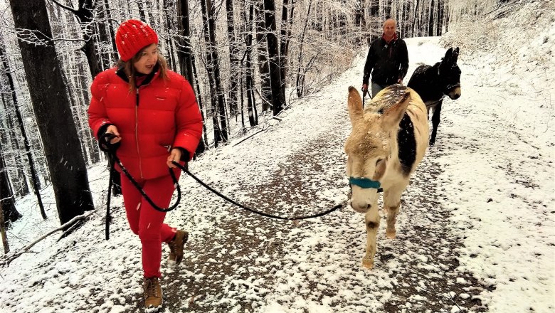 Snow hike, © (Copyright Christine Plocek)