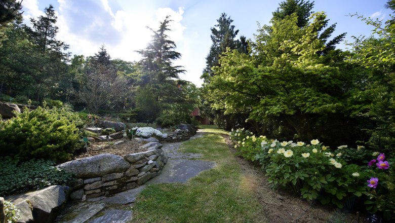 A well-tended garden with blooming flowers, trees and a paved path under a blue sky.